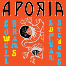 Stevens, Sufjan & Lowell Brams - Aporia