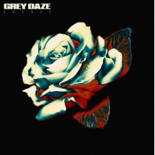 Grey Daze - Amends