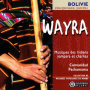 Comunidad Pachamama - Wayra
