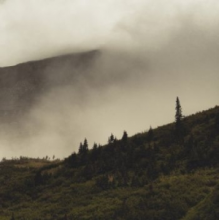 Lord Buffalo - Tohu Wa Bohu