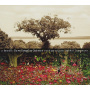 Douglas, Dave -Quintet- - Be Still