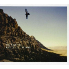 Maldives - Muscle For the Wing