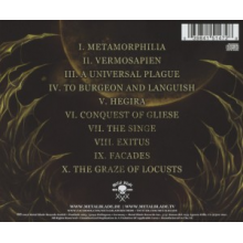 Abiotic - Symbiosis