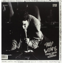 Toy Love - Live At the Gluepot 1980