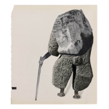 Golden Retriever - Rain Shadow