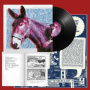 Protomartyr - Ultimate Success Today