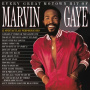 Gaye, Marvin - Every Great Motown Hit of Marvin Gaye: 15 Spectacular Performances