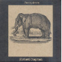 Chapman, Michael - Pachyderm