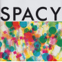 Yamashita, Tatsuro - Spacy