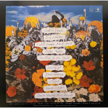 Smith Street Band - Don't Waste Your Anger