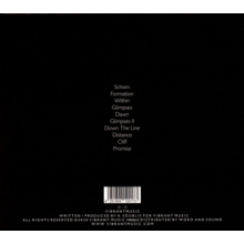 Fluxion - Perspectives