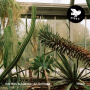 Myhr, Kim & Australian Art Orchestra - Vesper