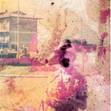 Sunflower - Spiders We Caught