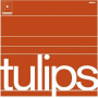 Maston - Tulips