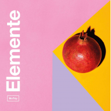 Motrip - Elemente