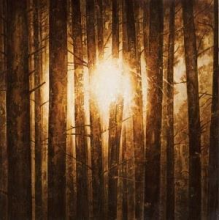 In Mourning - Echoes