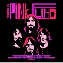 Pink Floyd - Tribute To Pink Floyd