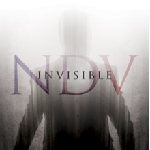 D'virgilio, Nick - Invisible