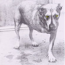 Alice In Chains - Alice In Chains