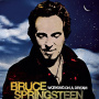 Springsteen, Bruce - Working On a Dream