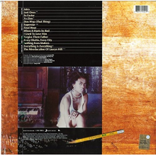 Hill, Lauryn - The Miseducation of Lauryn Hill