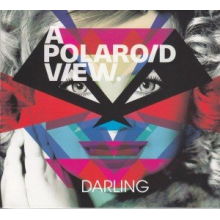 A Polaroid View - Darling