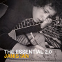 Ian, Janis - The Essential 2.0