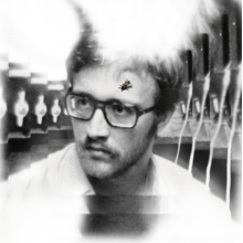 Damaged Bug - Bug On Yonkers