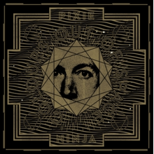 Pixie Ninja - Colours Out of Space