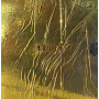 Belle - Belle