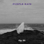 Purple Rain - Op. 01