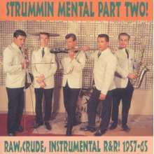 V/A - Strummin' Mental! Part 2