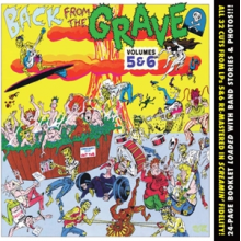 V/A - Back From the Grave, Vol. 5 & 6