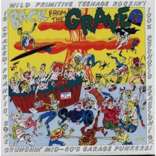 V/A - Back From the Grave 5