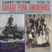 V/A - Last of the Garage Punk Unknowns 3