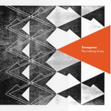 Snowgoose - Making of You