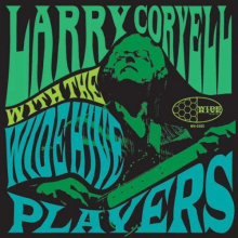 Coryell, Larry - With the Wide Hive Players