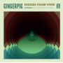 Gingerpig - Hidden From View