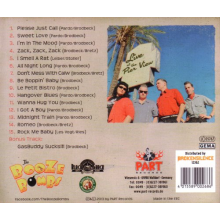 Booze Bombs, the - Live At the Pier View Pub