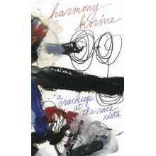 Korine, Harmony - A Crack-Up At the Race Riots