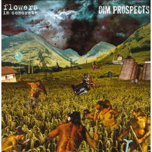 Flowers In Concrete - Split