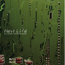 Next Life - Guru Meditation