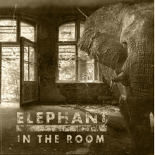Blackballed - Elephant In the Room