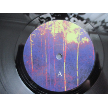 Ongelma - Todellisuus Iskee