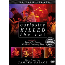 Curiosity Killed the Cat - Live From London