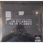 Front Bottoms - In Sickness & In Flames