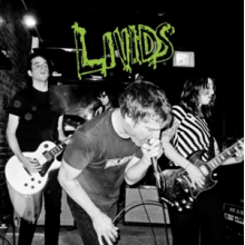 Livids - Spoof Attacks (Singles and Other Stain 2011-13)