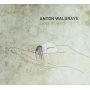 Walgrave, Anton - Tame Hearts