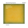 Danish String Quartet - Prism I