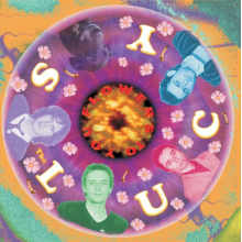 Lucys - Flowers To You